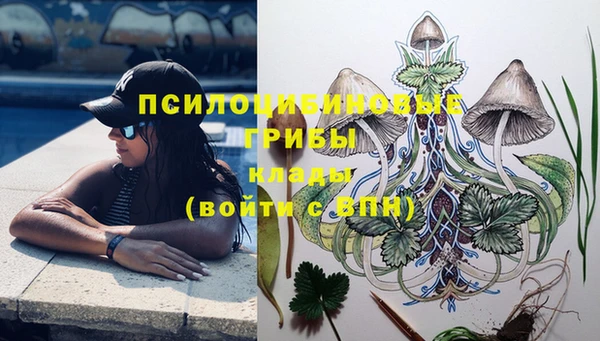 молекула духа Белоозёрский
