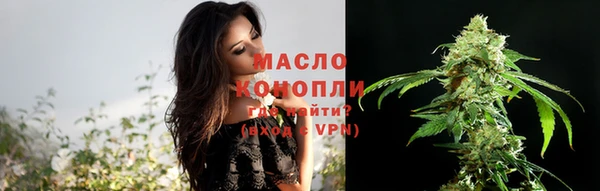 молекула духа Белоозёрский