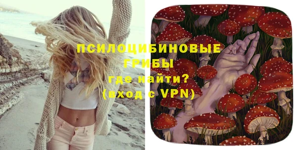 молекула духа Белоозёрский