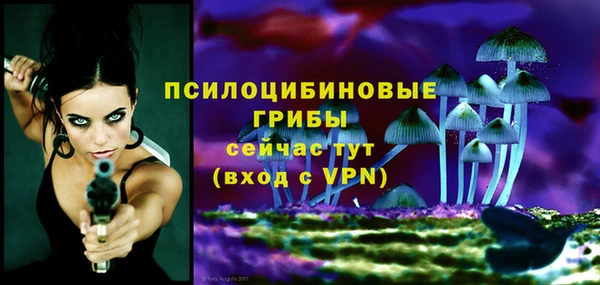 молекула духа Белоозёрский