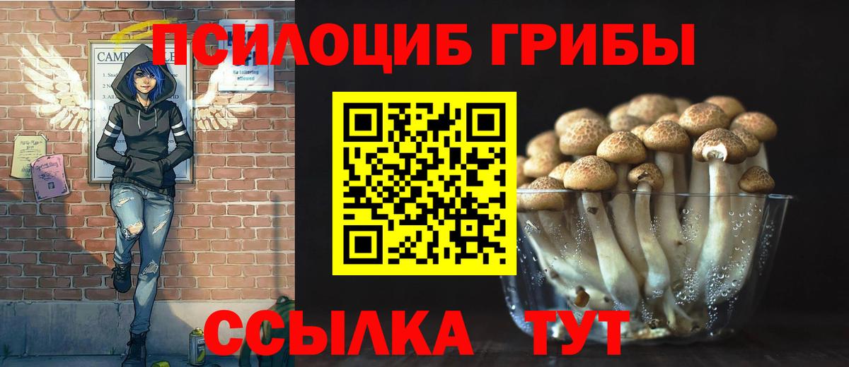 Галлюциногенные грибы Magic Shrooms  как найти наркотики  Улан-Удэ  Вход с VPN 