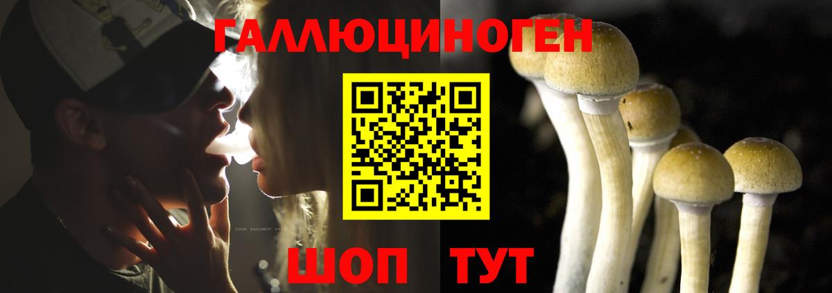 Псилоцибиновые грибы мухоморы Улан-Удэ