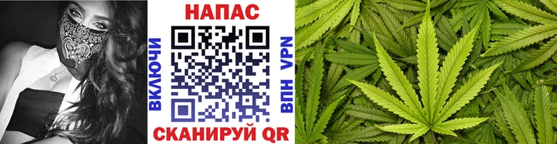 как найти   Улан-Удэ  Каннабис план 